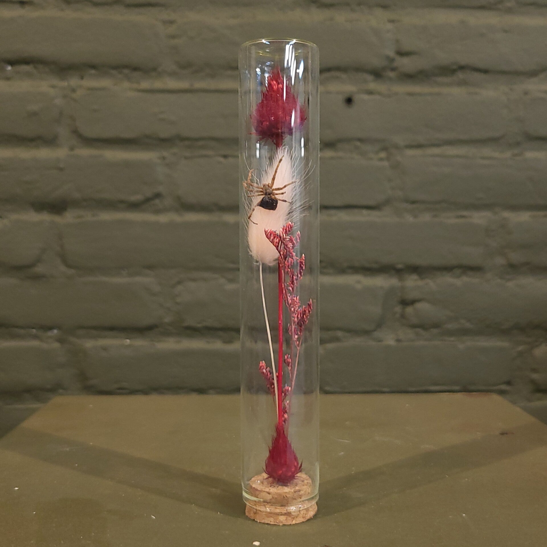 Stolp met droogbloemen en spin