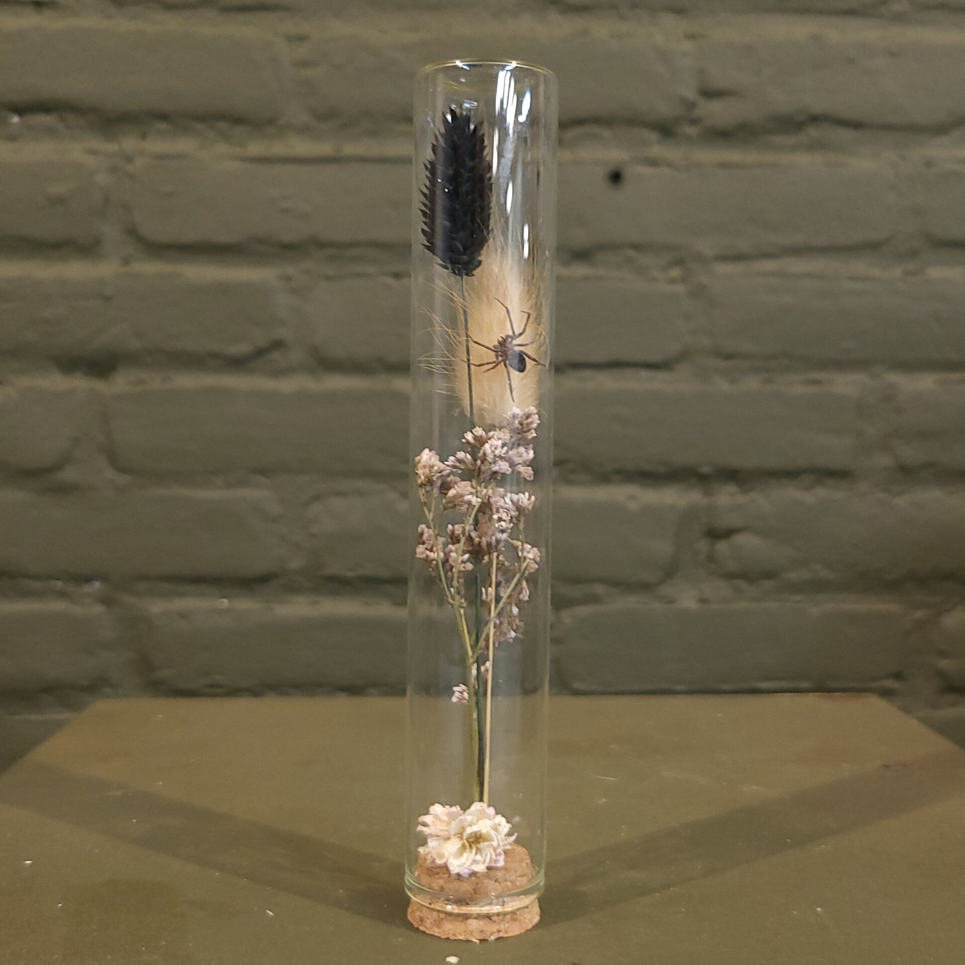 Stolp met droogbloemen en spin