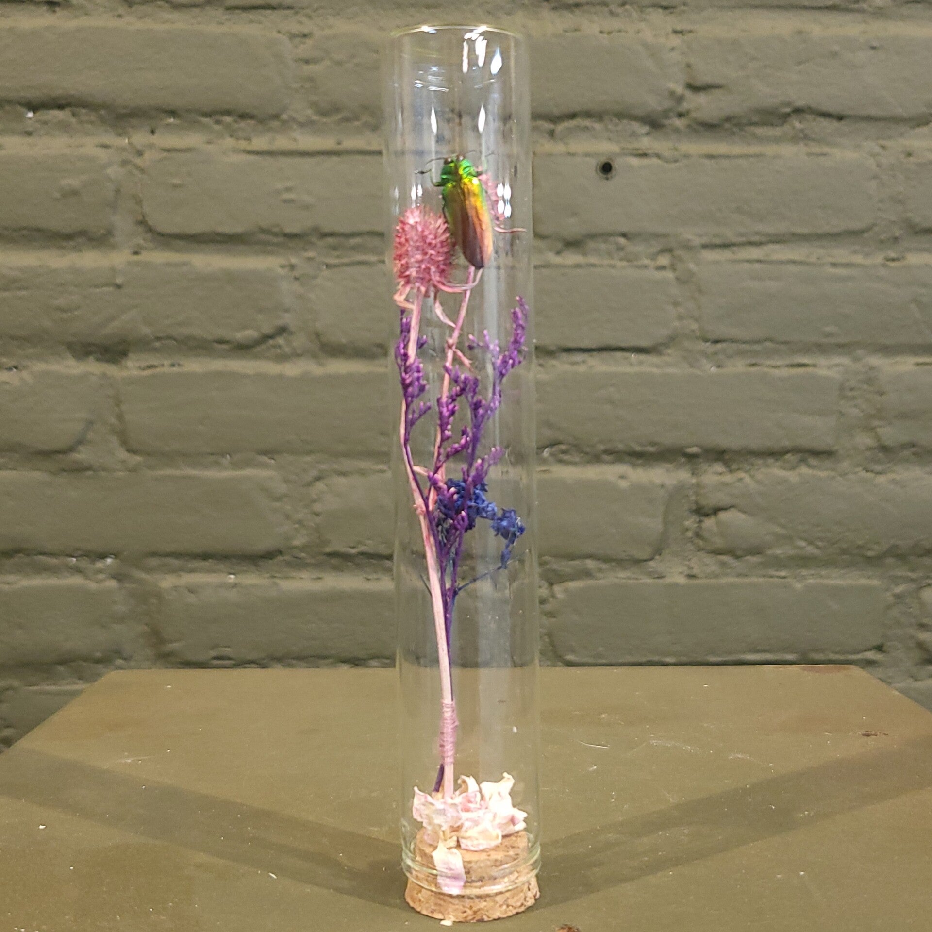 Stolp met droogbloemen en prachtkever