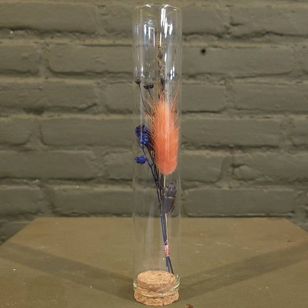 Stolp met droogbloemen en kever