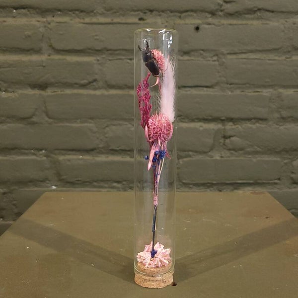 Stolp met droogbloemen en kever