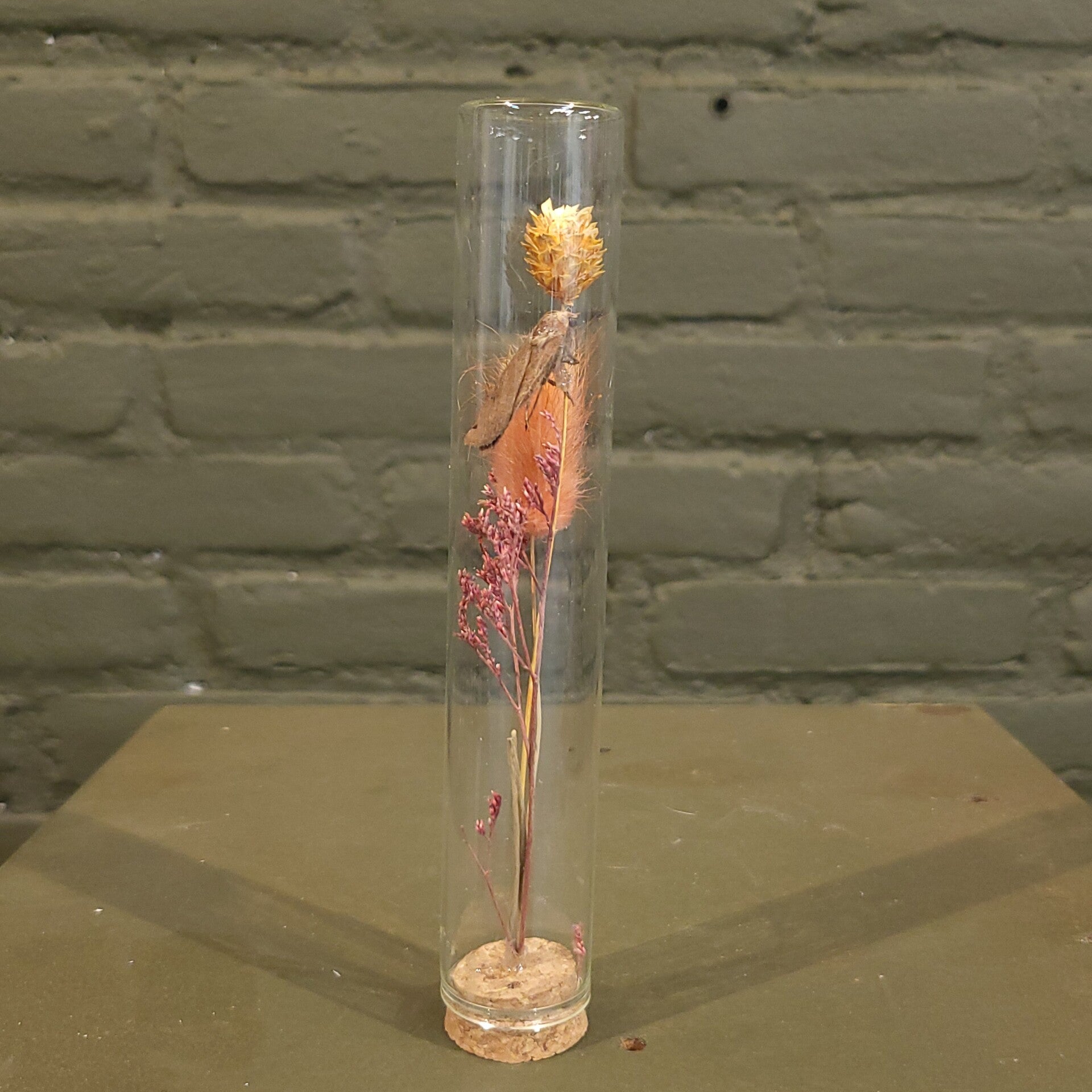 Stolp met droogbloemen en mot