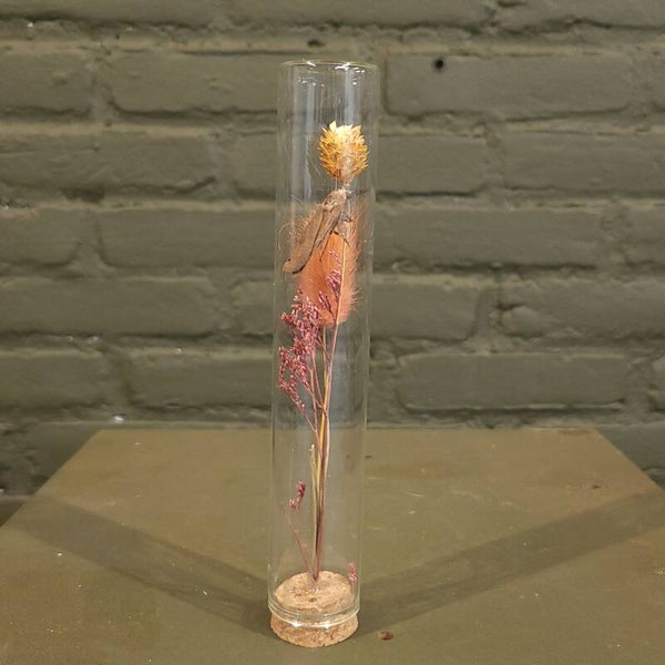 Stolp met droogbloemen en mot