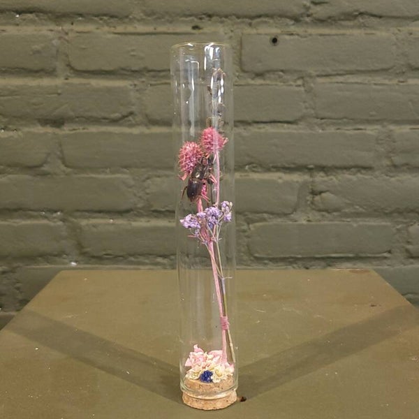 Stolp met droogbloemen en kever