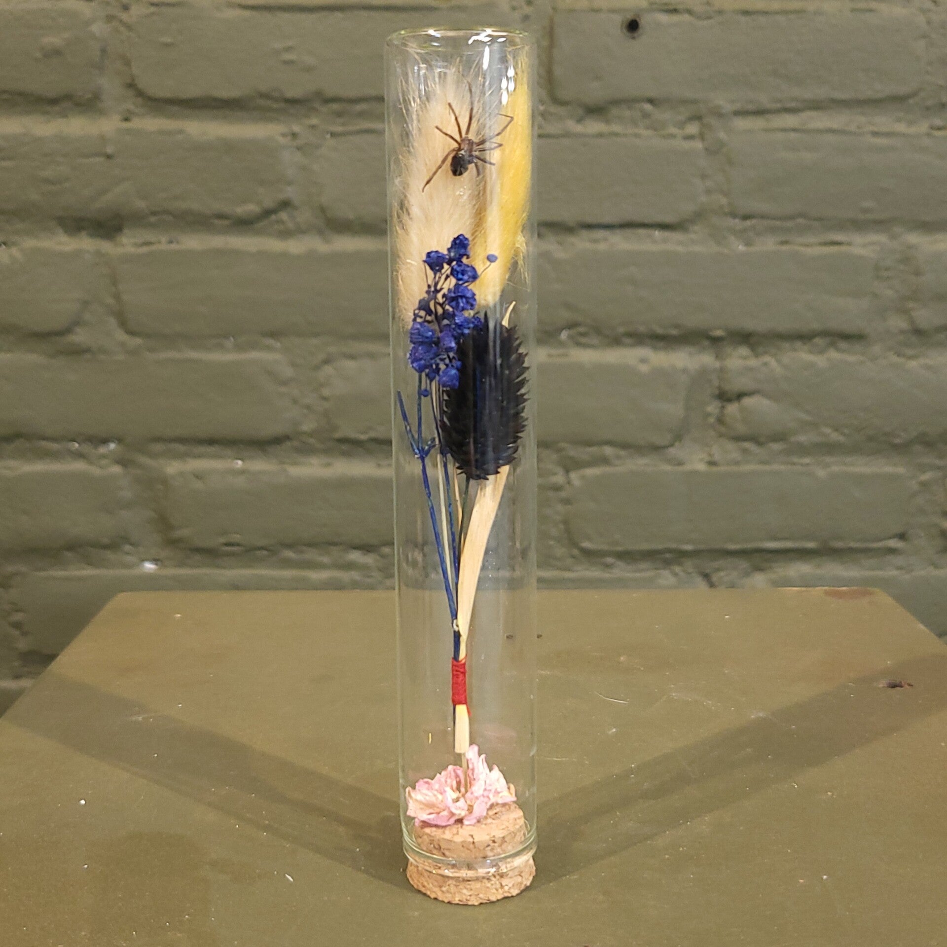 Stolp met droogbloemen en spin