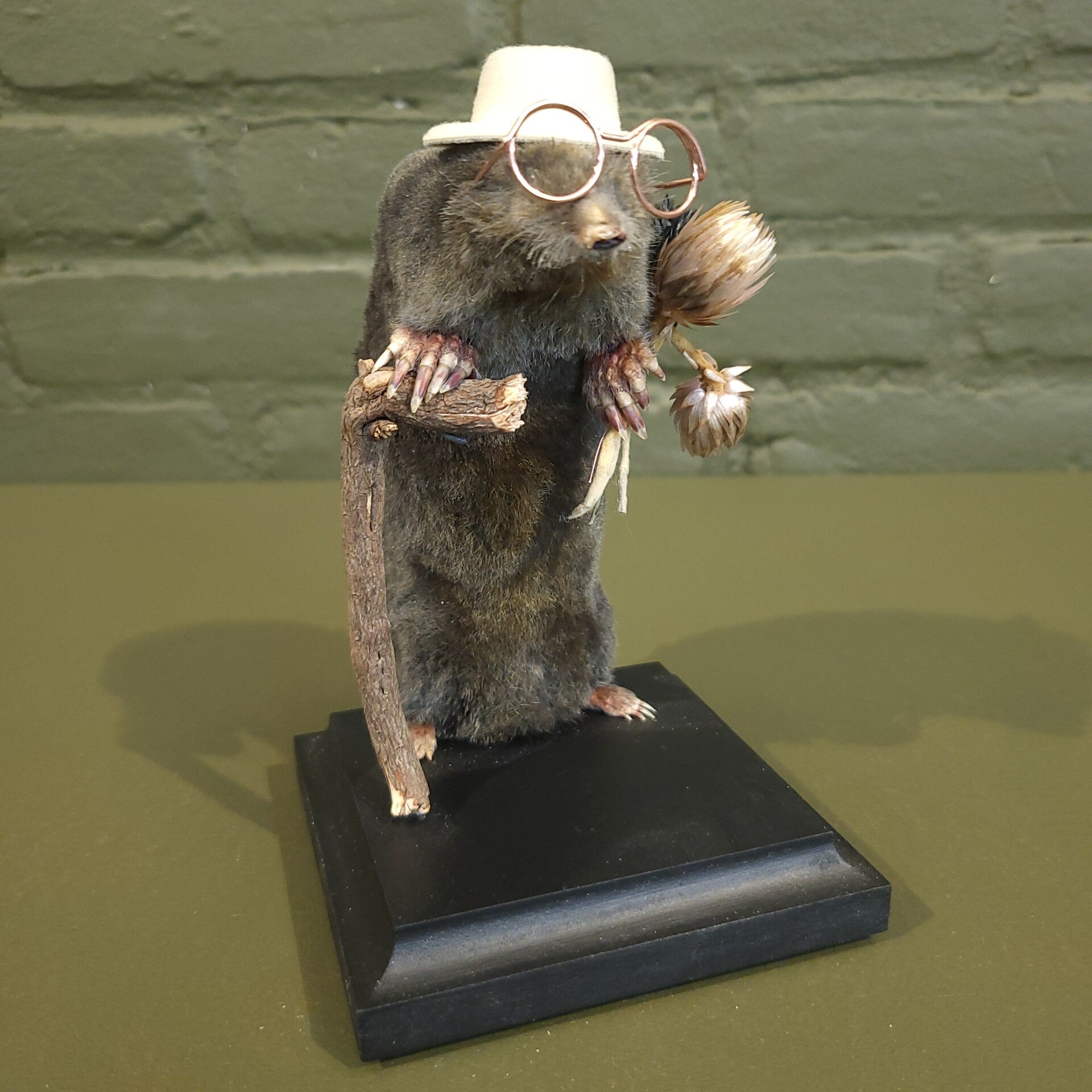 Mol met bril, droogbloemen en wandelstok