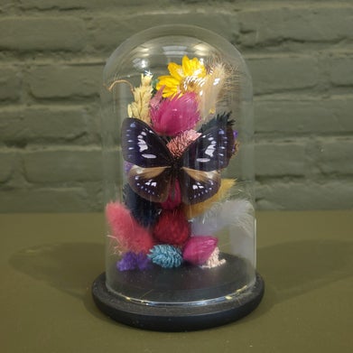 stolp met droog bloemen en vlinder