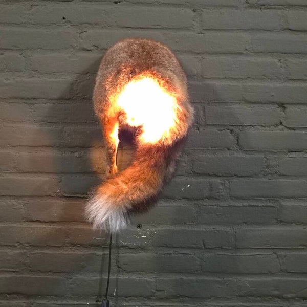 geprepareerde vossen kont met lamp