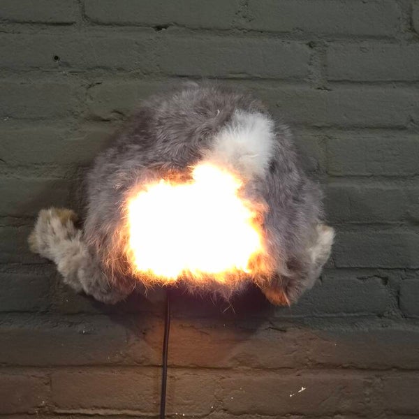 geprepareerde konijnen kont met lamp