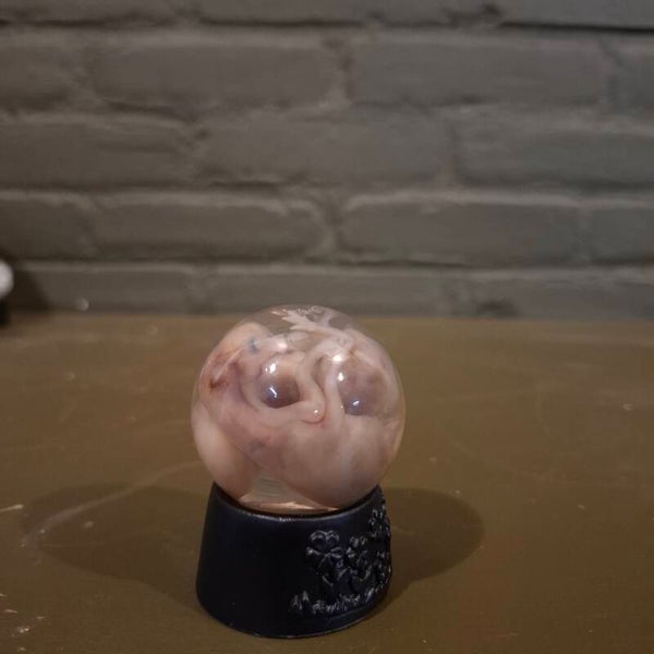 2 ree kalfje op sterk water 63