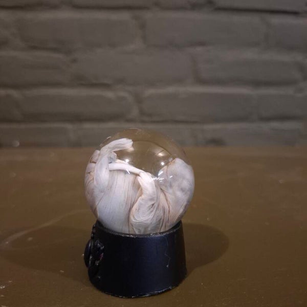 eekhoorn feutis op sterk water 65