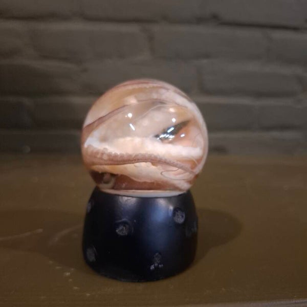octopus op sterk water 70