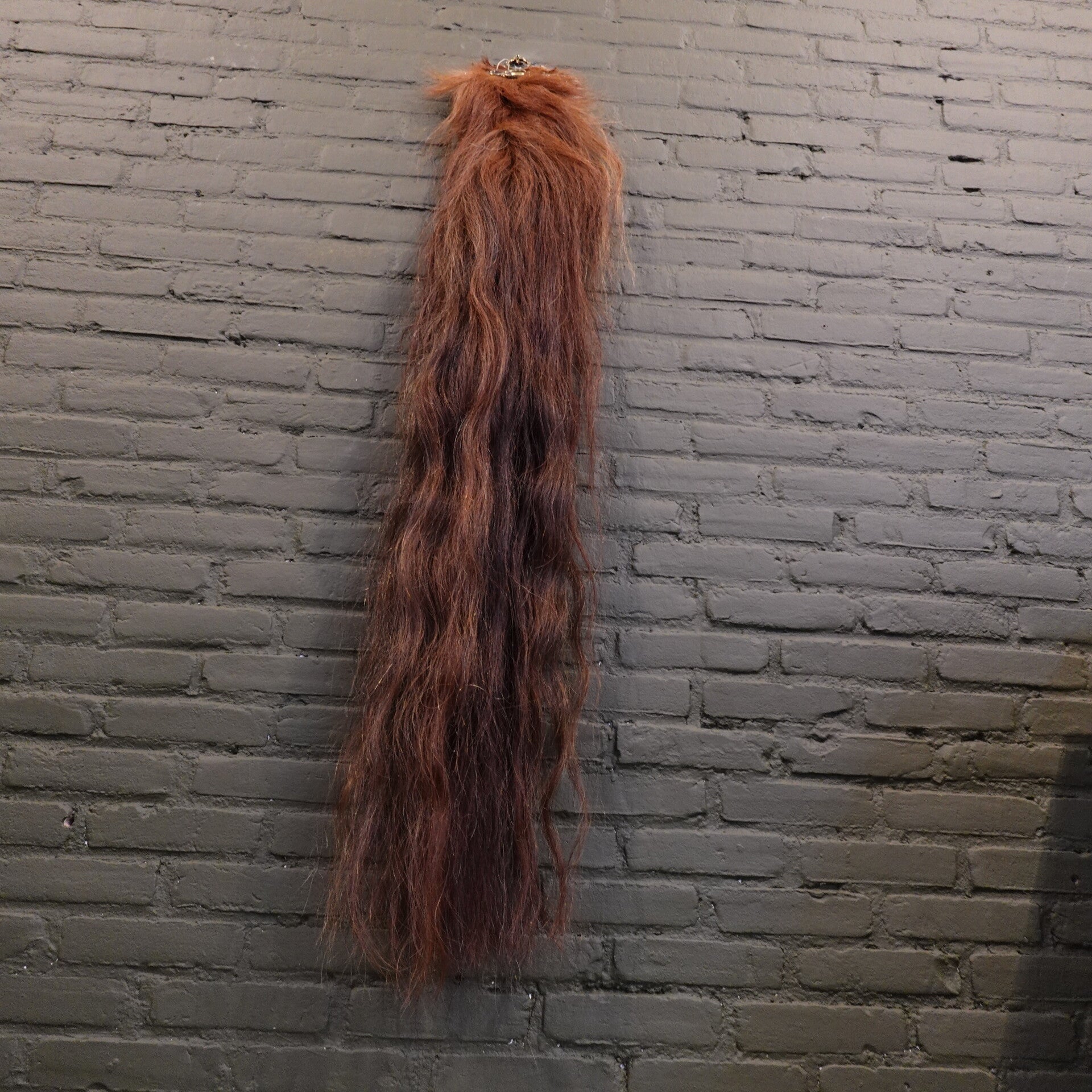 Paarden staart van een tinker