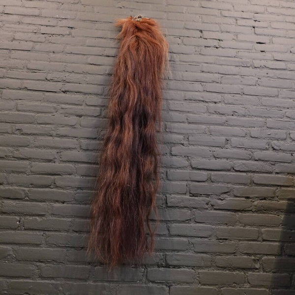 Paarden staart van een tinker