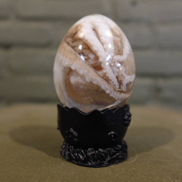 Octopus in sterkwater ei