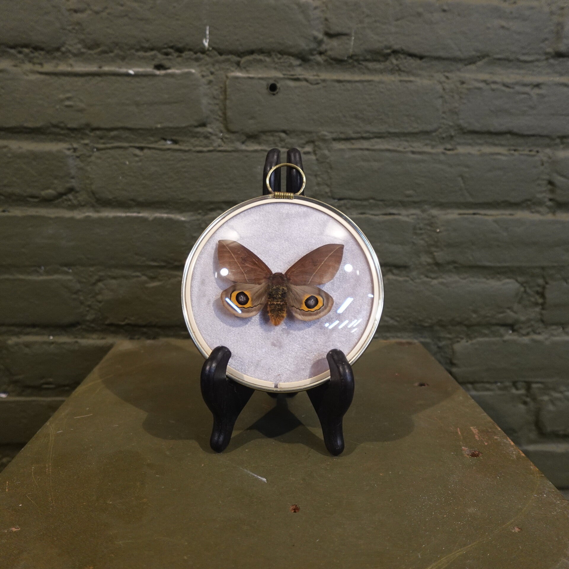 Bollijst met vlinder