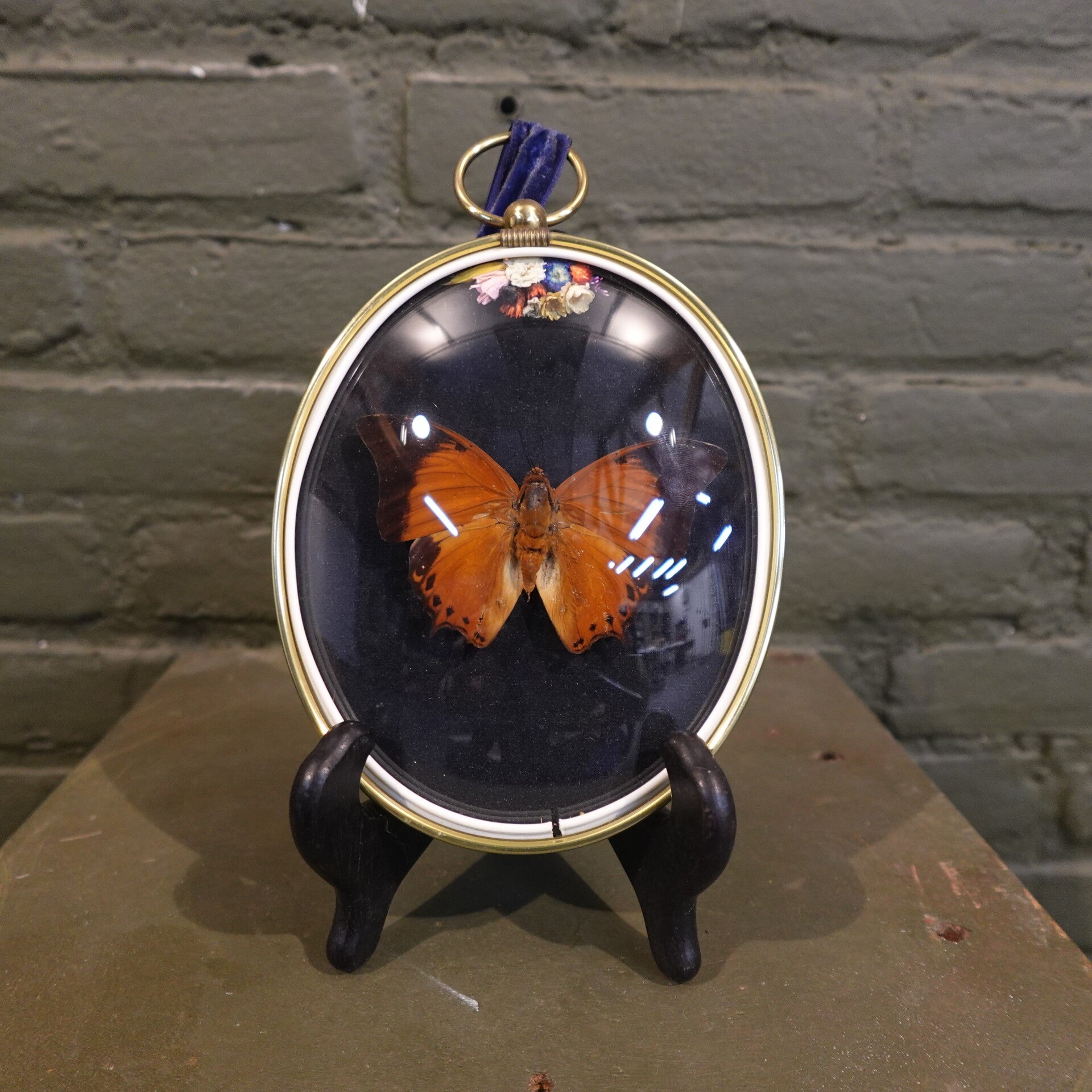 Bollijst met vlinder