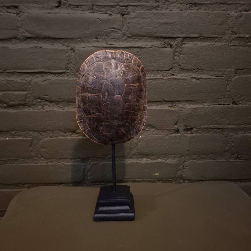 schildpad schild