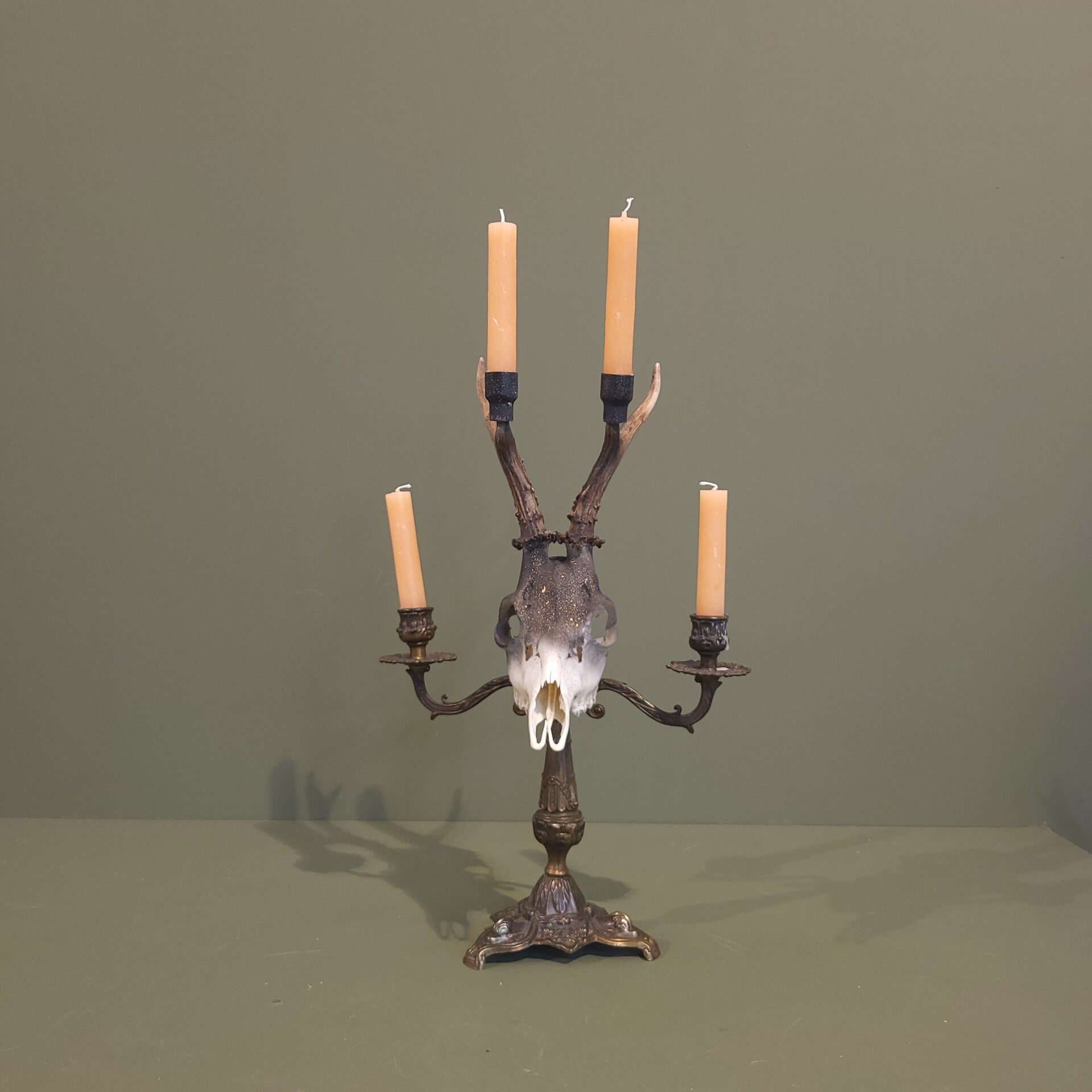 Ree schedel kandelaar