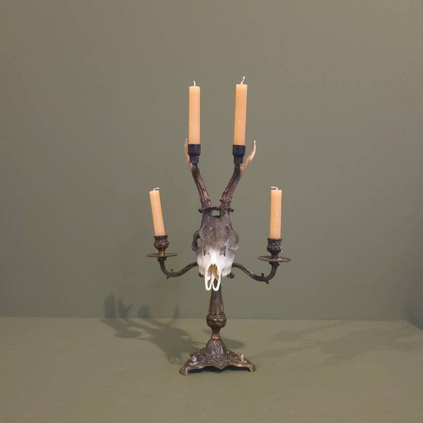 Ree schedel kandelaar