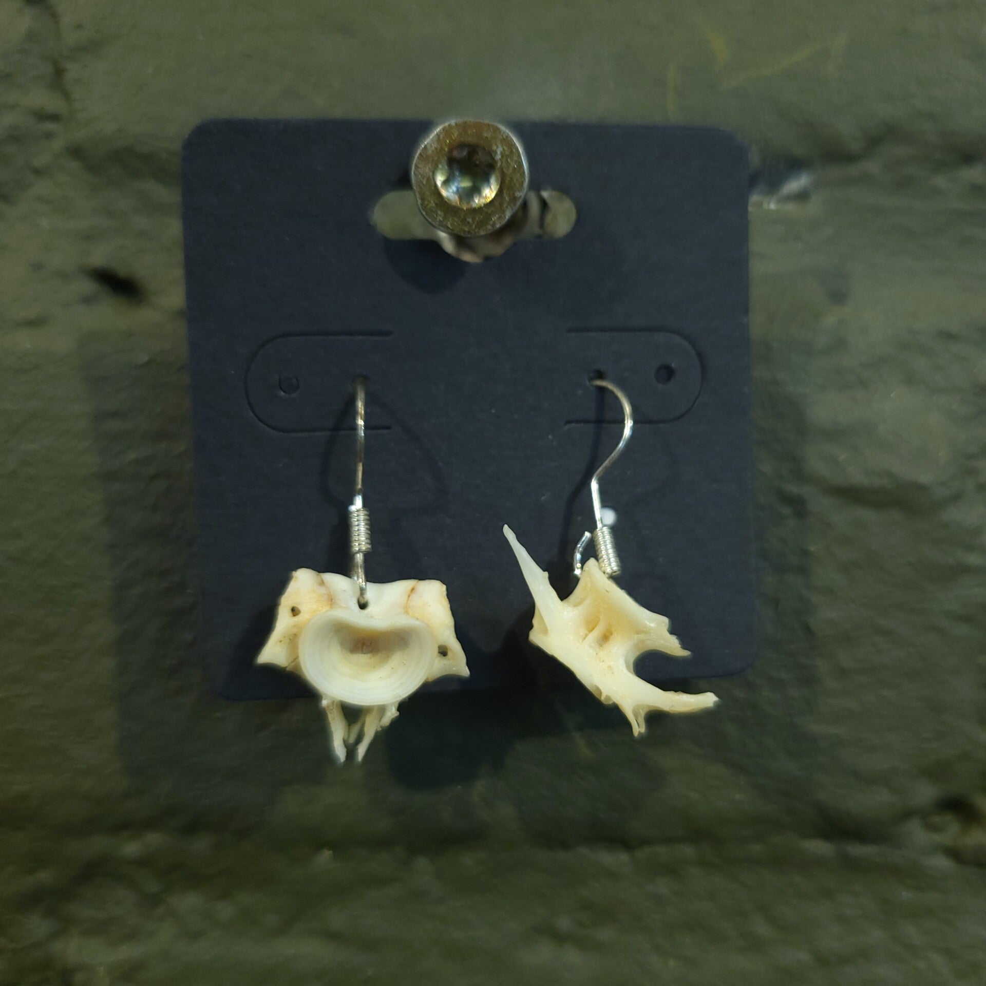 Oorbellen vissengraat