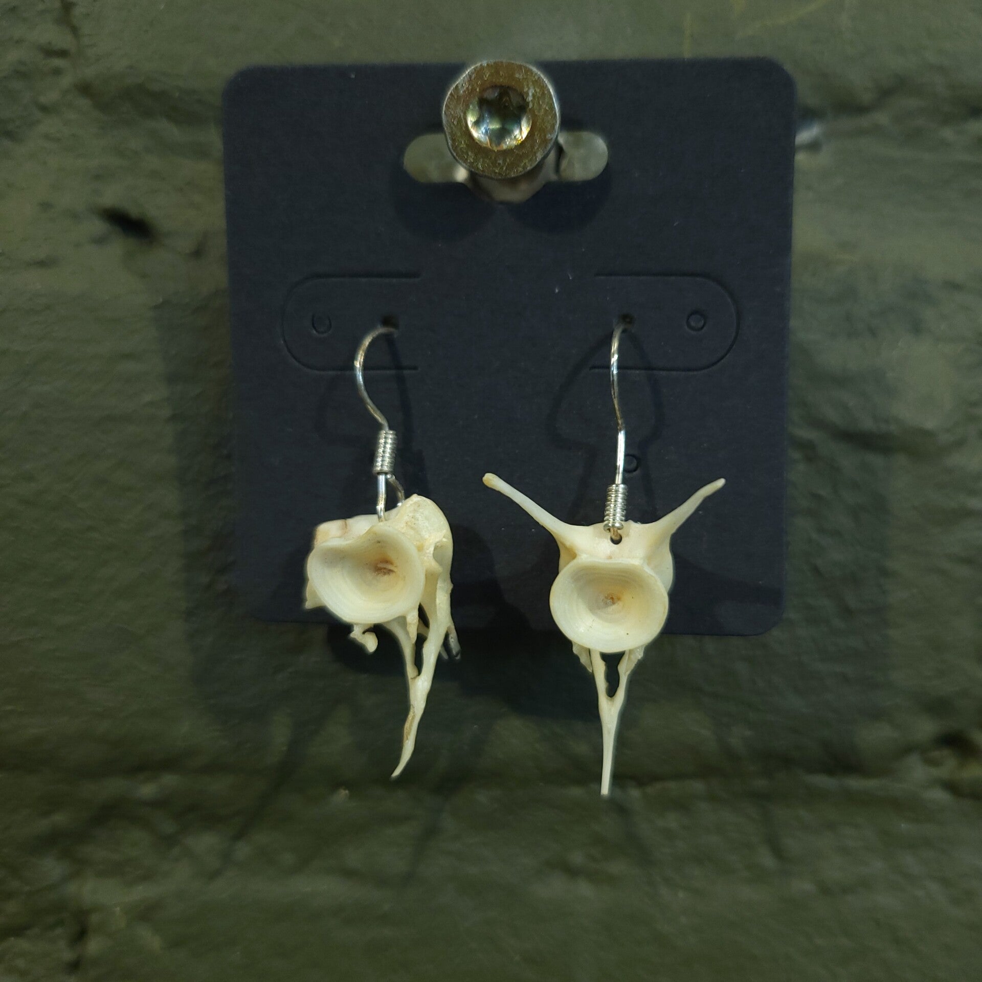 Oorbellen vissengraat