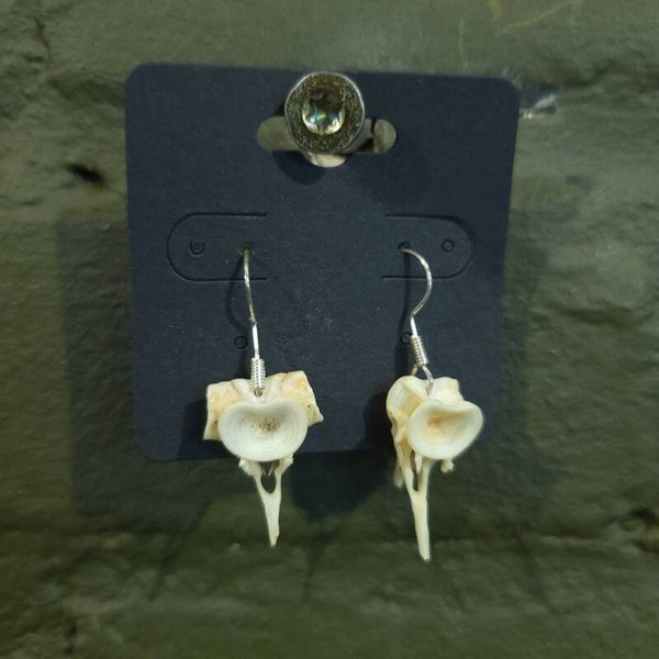 Oorbellen vissengraat