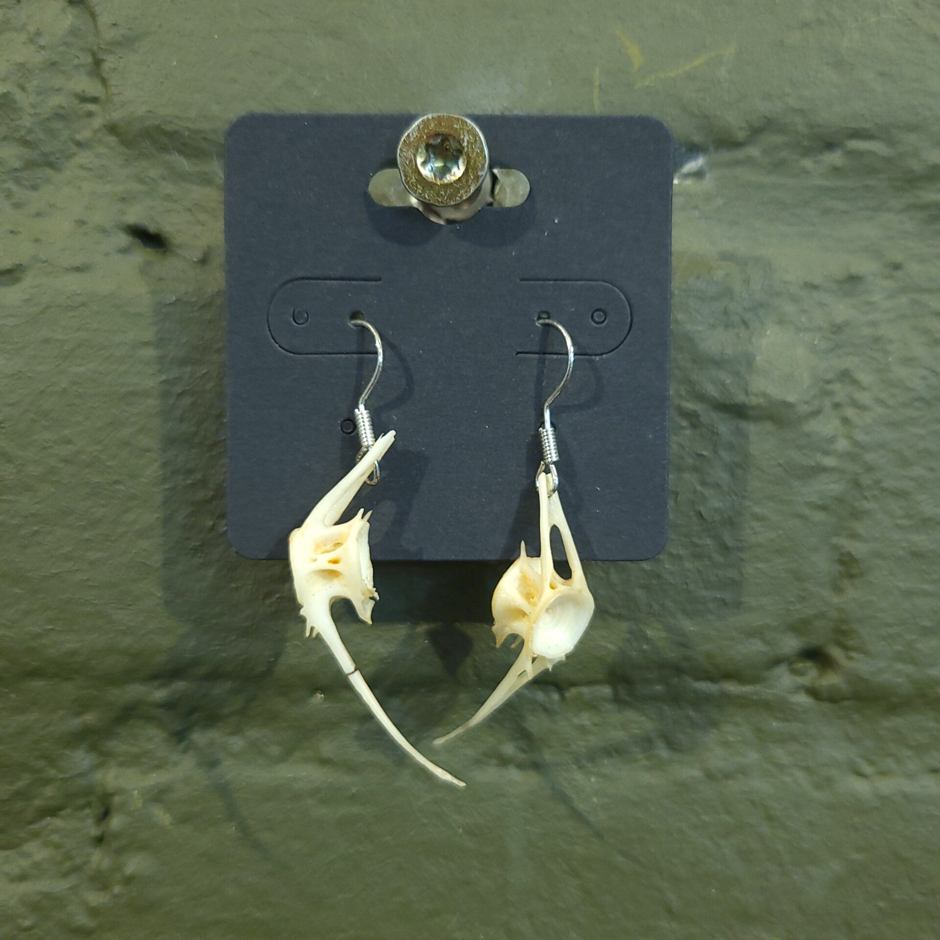 Oorbellen vissengraat