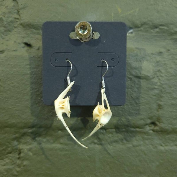 Oorbellen vissengraat