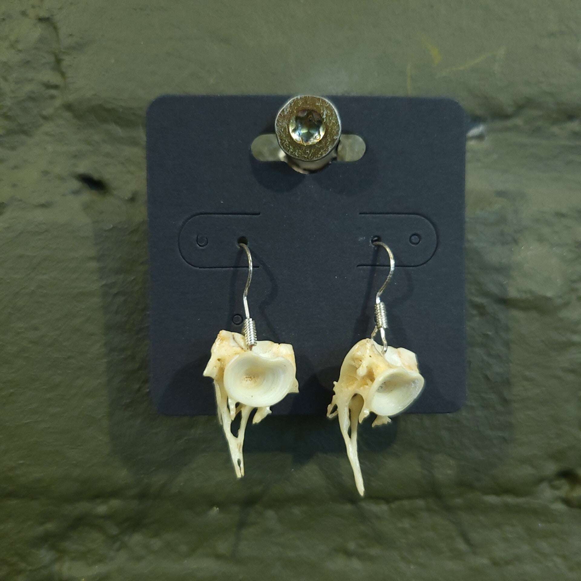 Oorbellen vissengraat