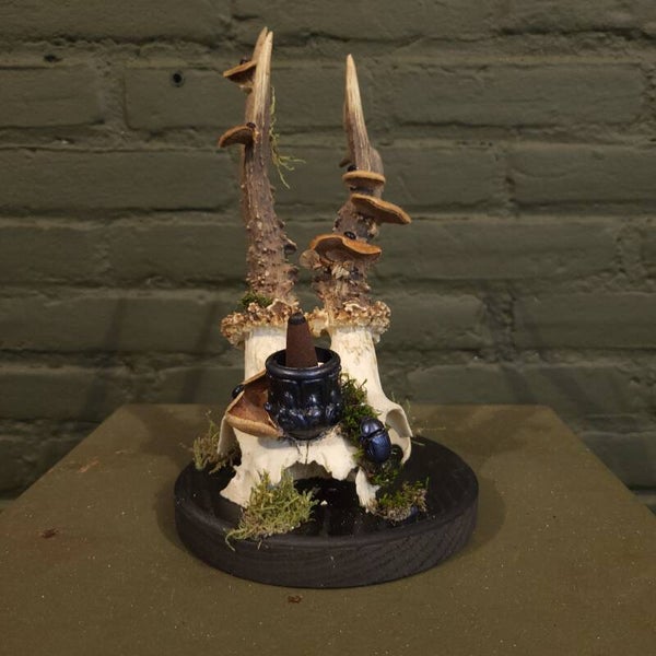 Wierookhouder ree schedel