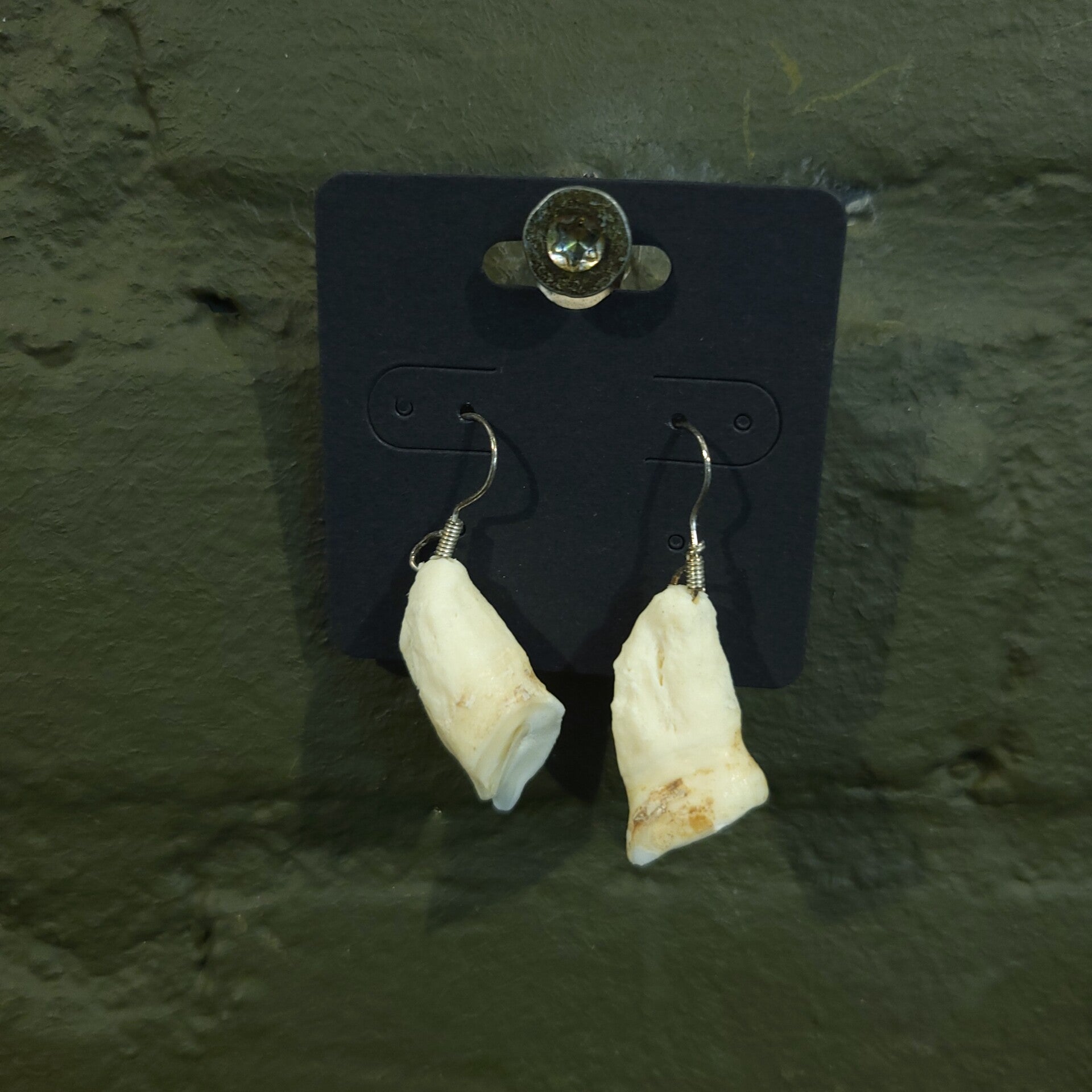 Oorbellen wolfs tanden paard