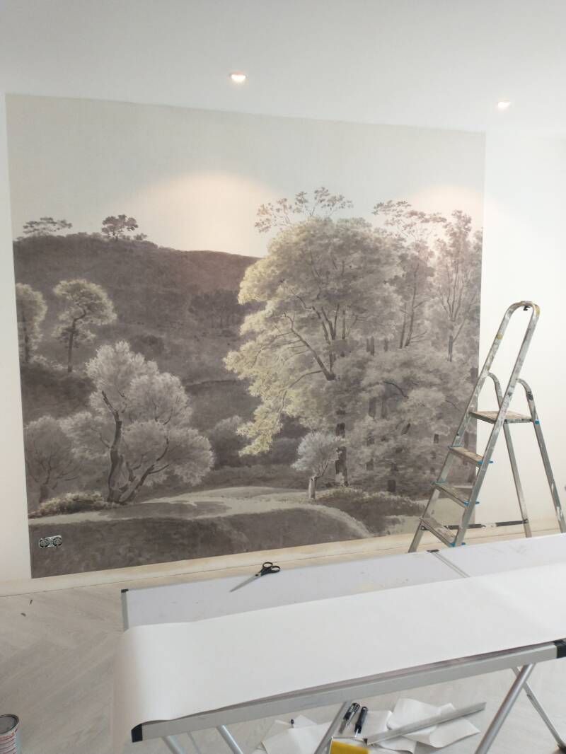 Fotobehang-bomen