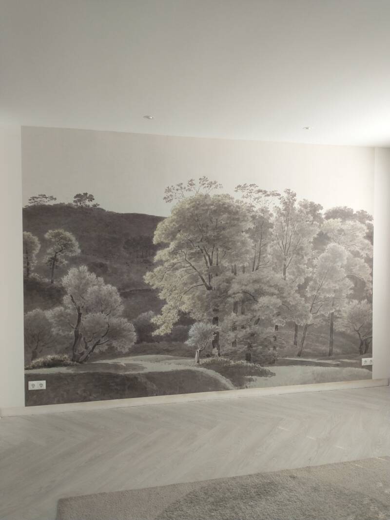 Fotobehang-bomen