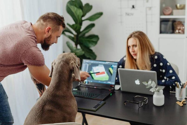 Erstgespräch Hundetraining (Anamnese)