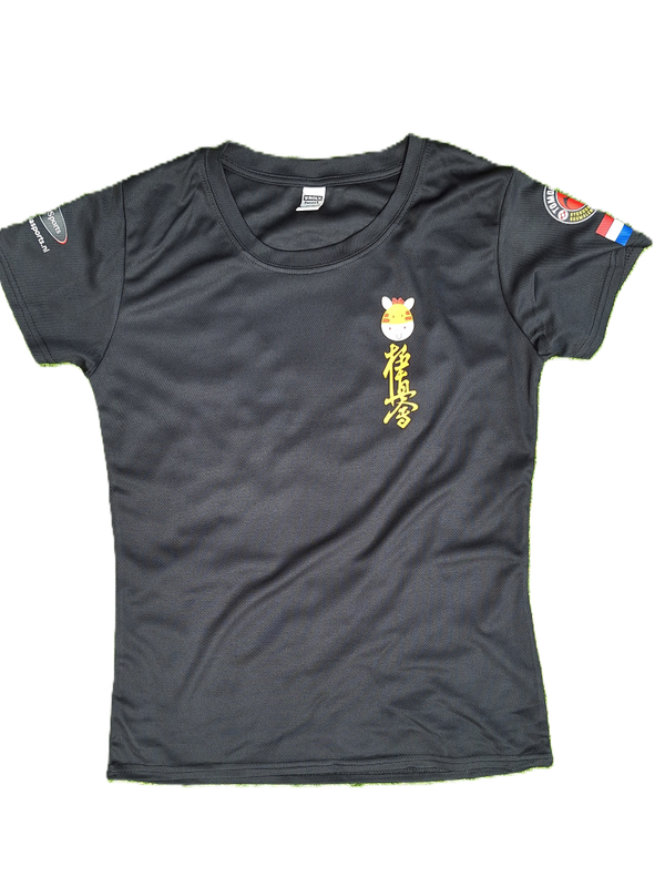 Sponsorshirt Gerrit team Tomoe