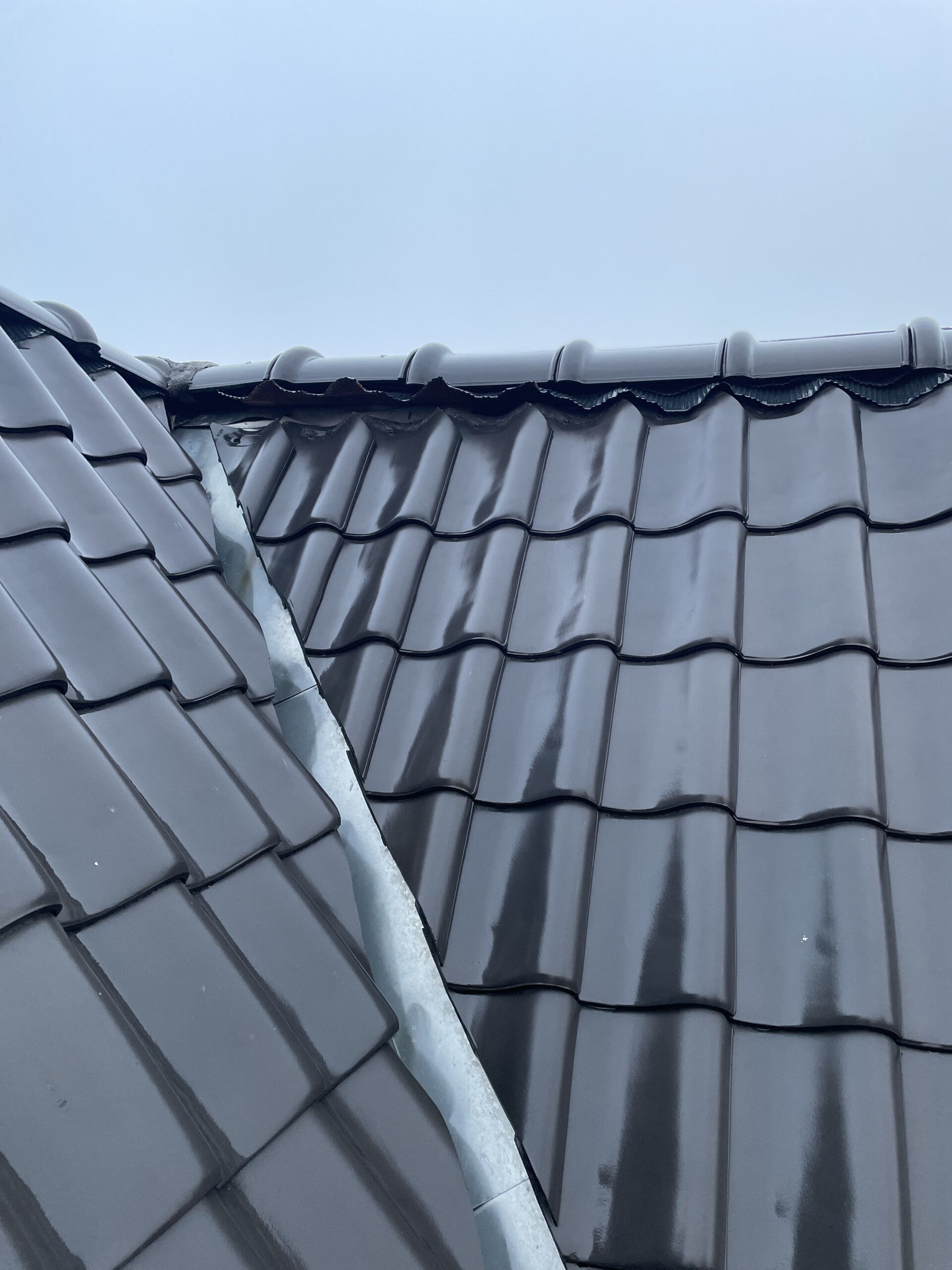 Pannendak vervangen of repareren of renovatie