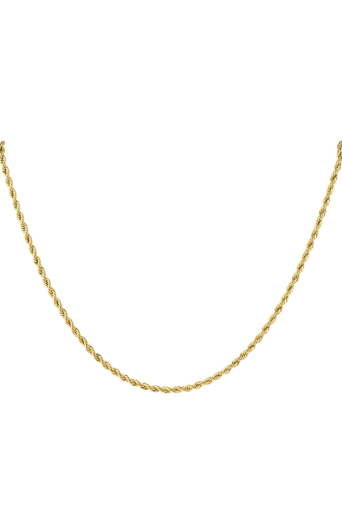 Ketting Stainless Steel unisex gedraaid goud