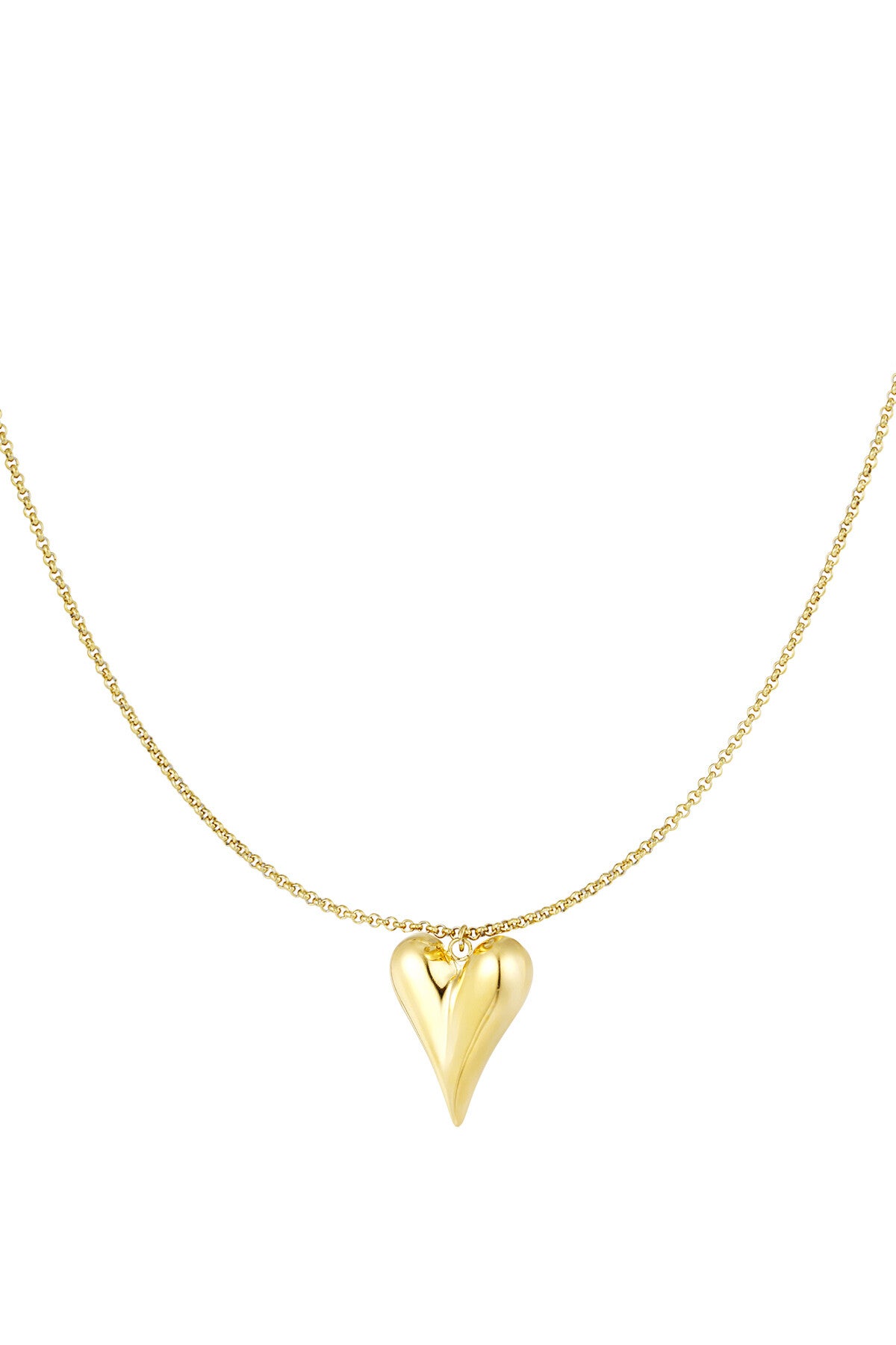 Ketting Stainless Steel hart basic goud