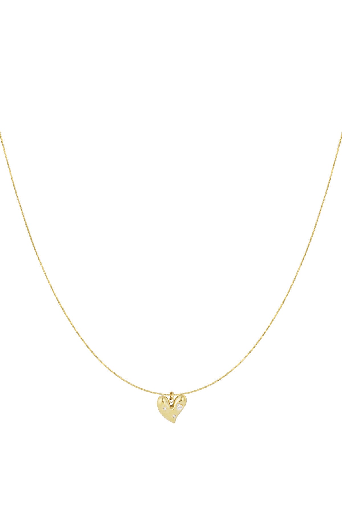 Ketting Stainless Steel lucky to have you goud