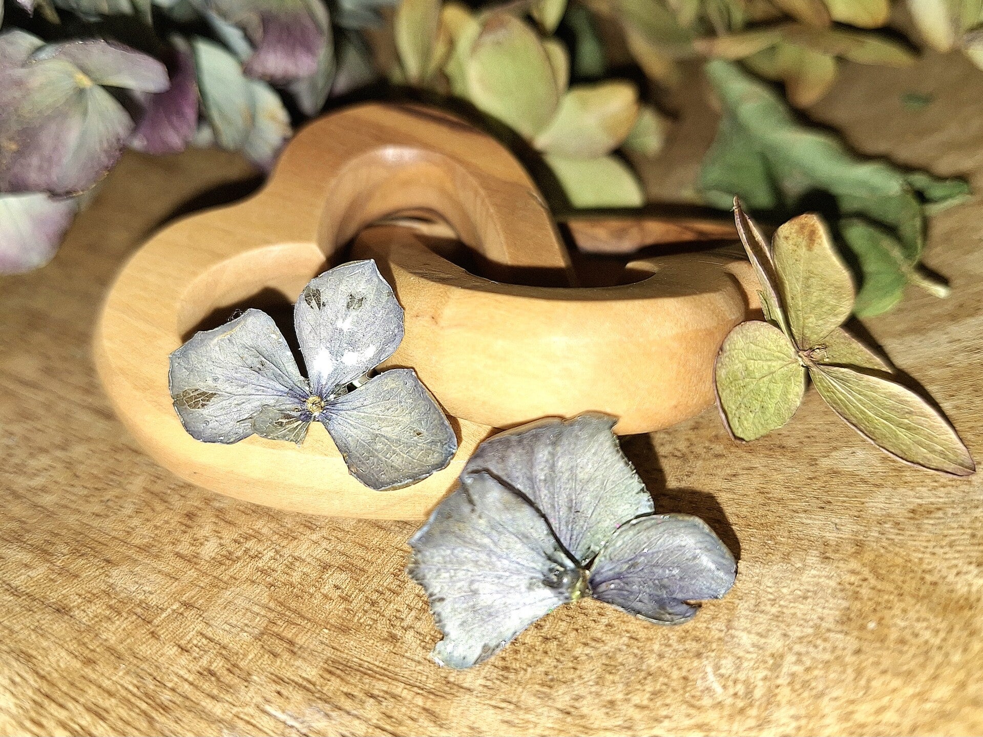 Ohrstecker Hortensie