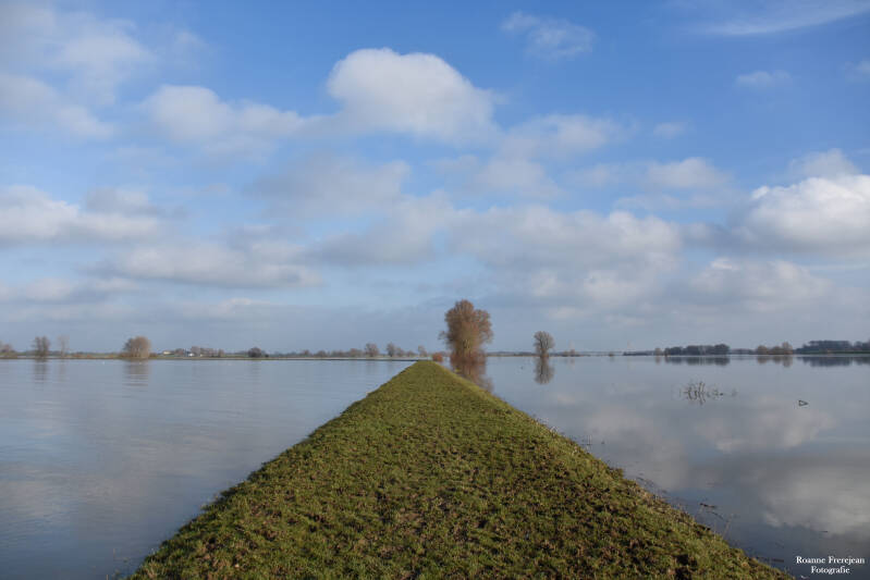 Hoogwater in de Winssense waard.