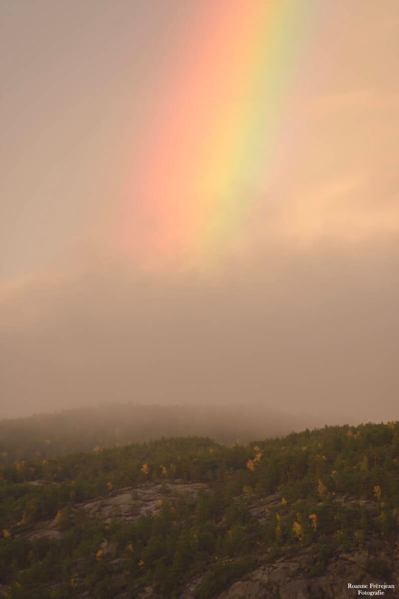 Regenboog