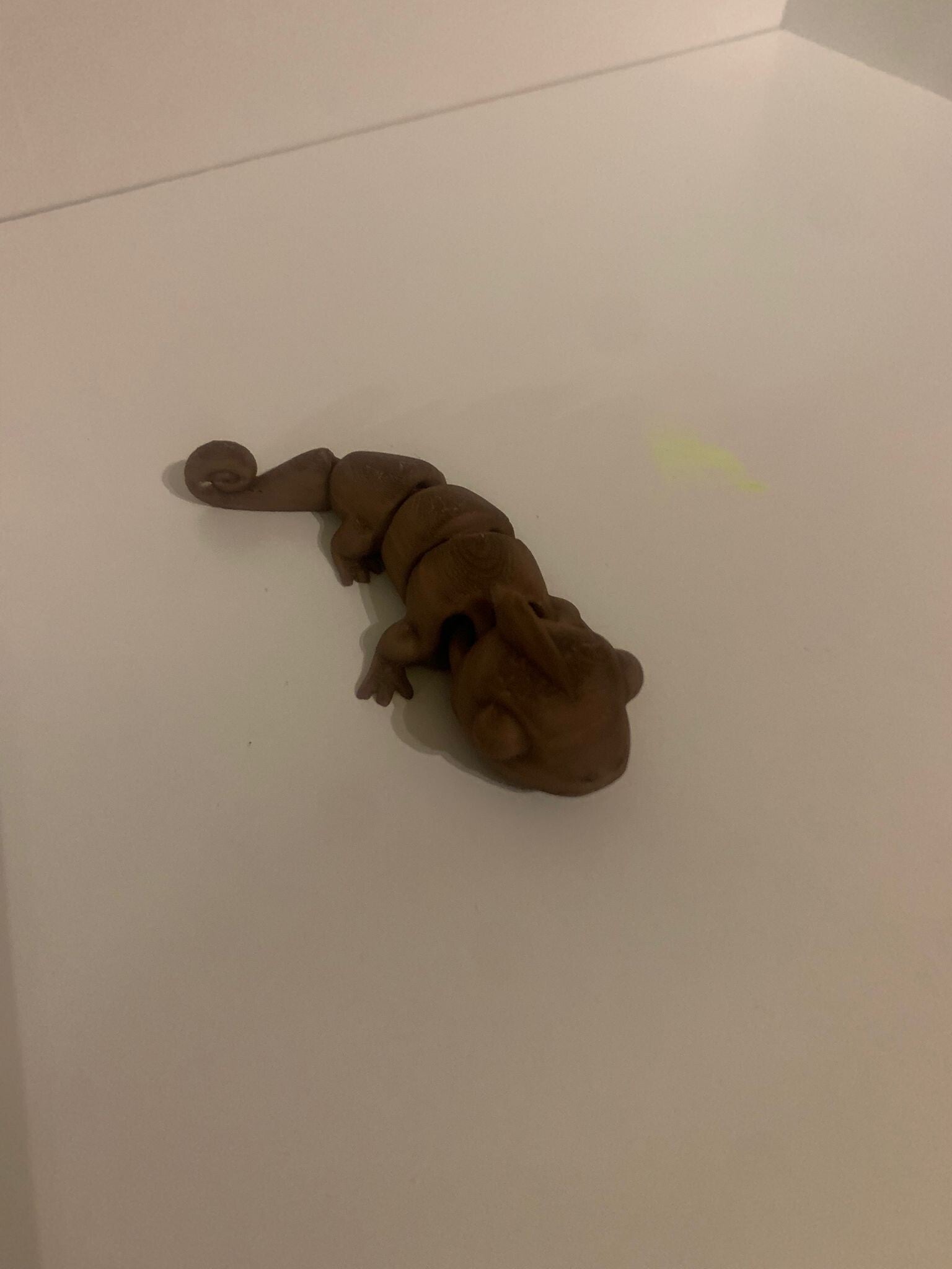 camelion