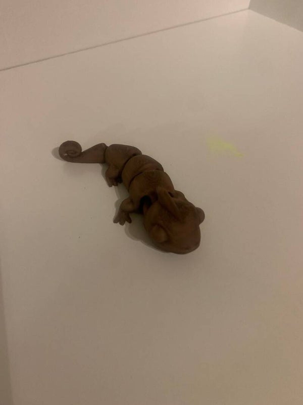 camelion