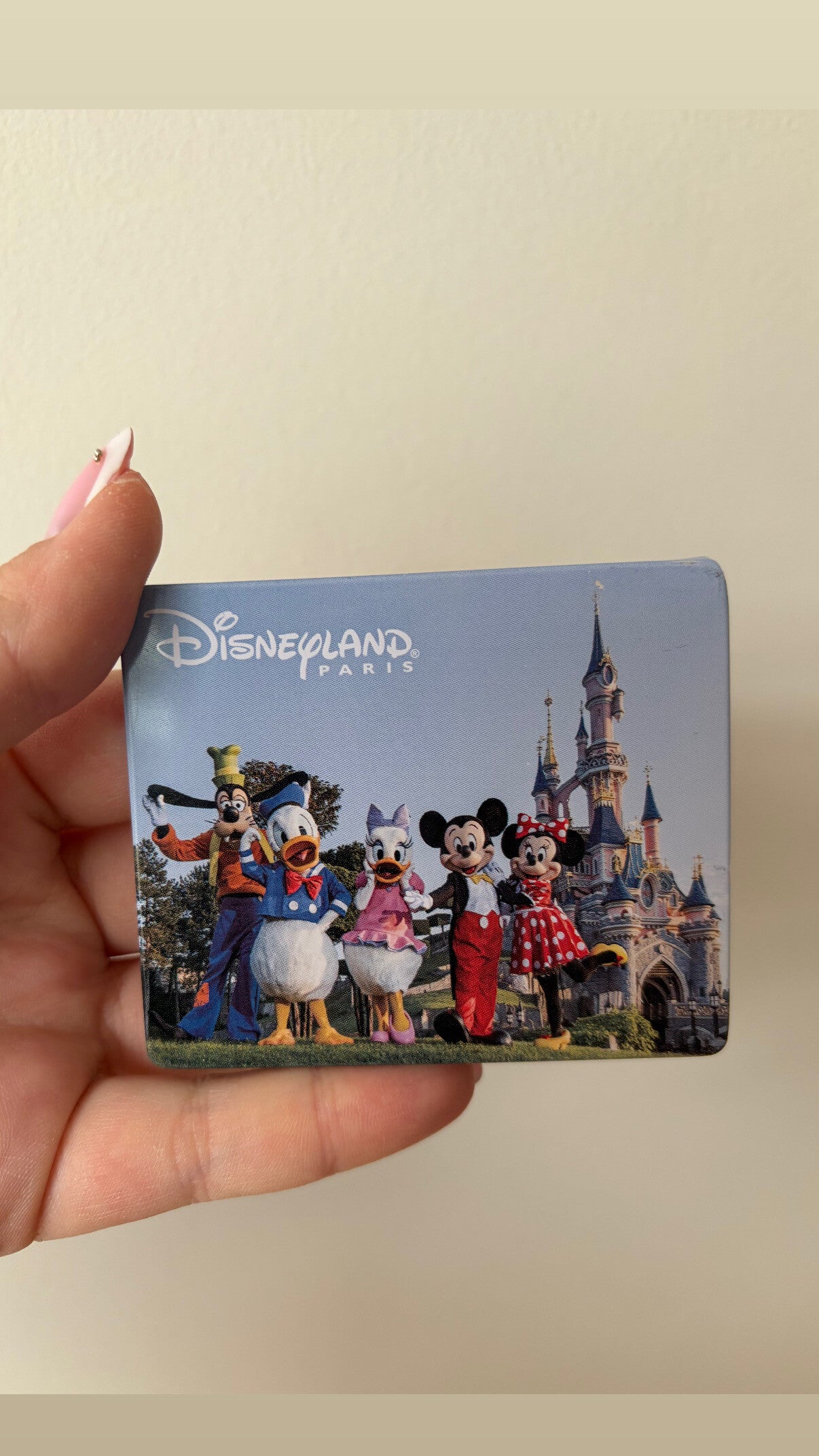 Magneet Disneyland Paris foto
