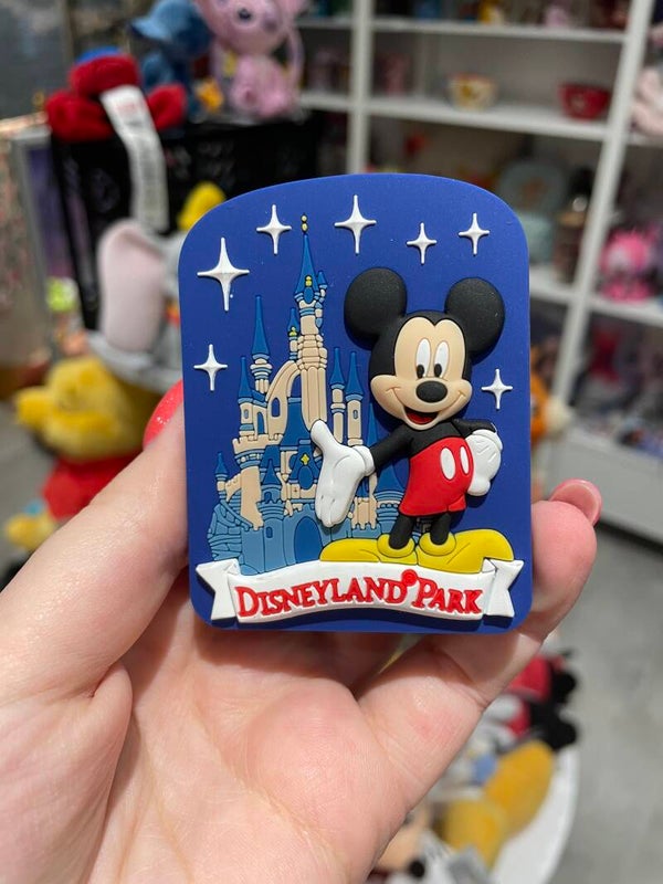 Magneet Disneyland Park