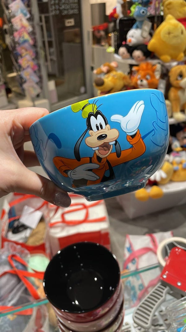 Kom Disneyland parijs Goofy