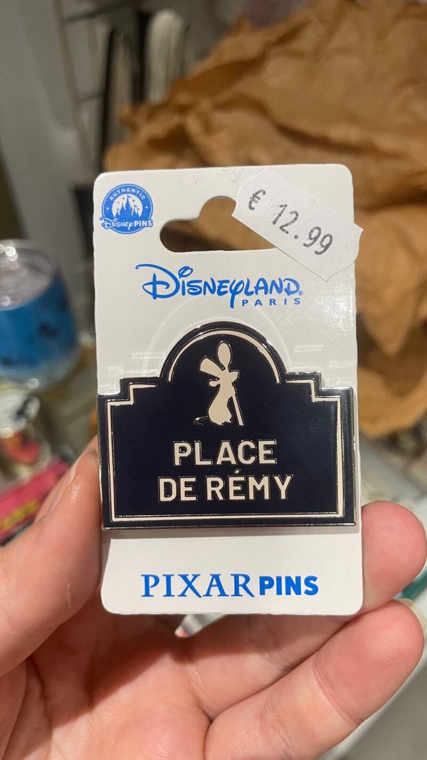 Pin Ratatouille place de remy