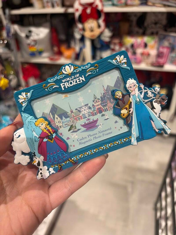 Magneet fotokader world of frozen